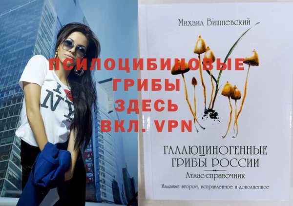 сатива Баксан